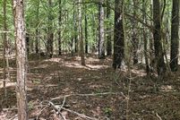 Land for sale in Van Buren County, Tennessee