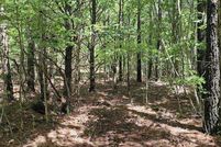 Undeveloped Land for sale in Van Buren County, Tennessee