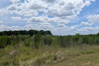 Land for sale in Henry County, Alabama