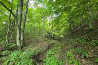 Undeveloped Land for sale in Lee County, Virginia