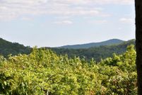 Undeveloped Land for sale in Pickens County, Georgia