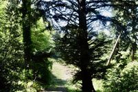 Undeveloped Land for sale in Curry County, Oregon