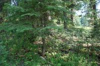 Undeveloped Land for sale in Valley County, Idaho