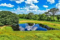 Undeveloped Land for sale in Wood County, Texas