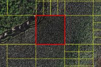 Hunting Property for sale in Osceola County, Florida