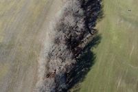 Undeveloped Land for sale in Obion County, Tennessee