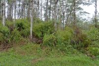 Timberland Property for sale in Hawaii County, Hawaii