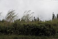 Homesite for sale in Hawaii County, Hawaii