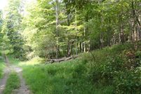 Undeveloped Land for sale in Hancock County, West Virginia