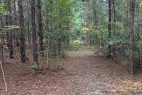 Undeveloped Land for sale in Horry County, South Carolina