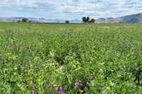 Undeveloped Land for sale in Sanders County, Montana