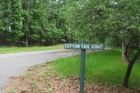 Undeveloped Land for sale in Wood County, Texas