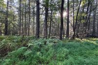 Undeveloped Land for sale in Sullivan County, New York