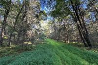 Undeveloped Land for sale in Sullivan County, New York