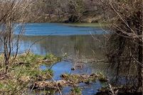 Land for sale in Carroll County, Arkansas