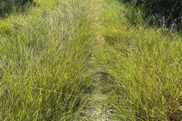 Land for sale in Johnson County, Texas