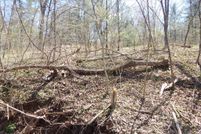 Undeveloped Land for sale in Berkeley County, West Virginia