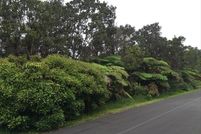 Undeveloped Land for sale in Hawaii County, Hawaii