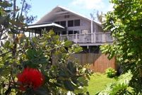 Land for sale in Hawaii County, Hawaii