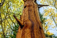 Land for sale in Jefferson County, Colorado