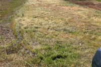 Land for sale in Butte County, California