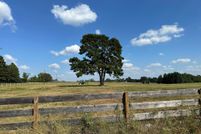 Timberland Property for sale in Harrison County, Texas