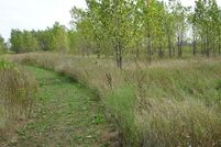 Timberland Property for sale in Clinton County, Michigan