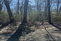 Undeveloped Land for sale in Smith County, Texas