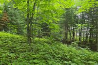 Undeveloped Land for sale in Ontonagon County, Michigan
