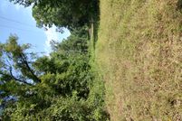 Land for sale in Calhoun County, Arkansas