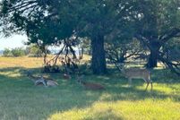 Land for sale in Bell County, Texas