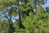 Land for sale in Lexington County, South Carolina