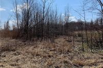 Land for sale in Lorain County, Ohio