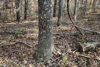 Land for sale in Howell County, Missouri