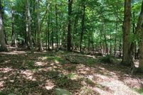 Land for sale in Morgan County, West Virginia