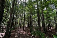 Land for sale in Saline County, Arkansas