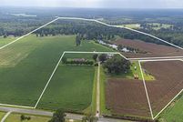 Undeveloped Land for sale in Marion County, South Carolina
