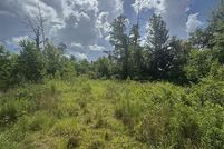 Land for sale in Calcasieu Parish, Louisiana