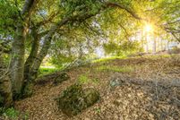 Recreational Property for sale in Nevada County, California