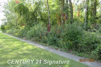 Land for sale in Saginaw County, Michigan