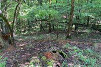 Land for sale in Gilmer County, Georgia