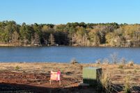 Land for sale in Sabine Parish, Louisiana