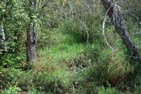 Land for sale in King County, Washington