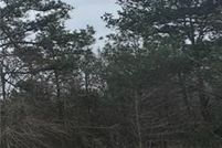 Undeveloped Land for sale in Rapides Parish, Louisiana