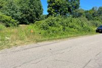 Land for sale in Chautauqua County, New York