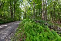 Timberland Property for sale in Litchfield County, Connecticut