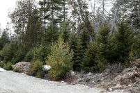 Lakefront Property for sale in Washington County, Maine