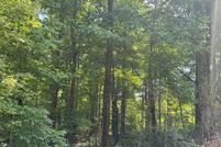 Undeveloped Land for sale in Rutherford County, North Carolina