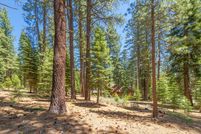 Undeveloped Land for sale in Nevada County, California