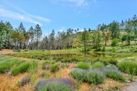 Land for sale in Sonoma County, California